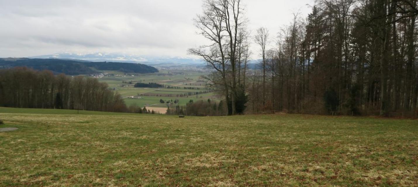 Blick auf die Wauwiler Ebene